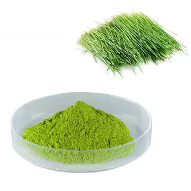 Wheat Grass Powder