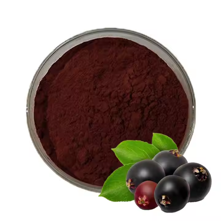 Elderberry Extract Anthocyanins