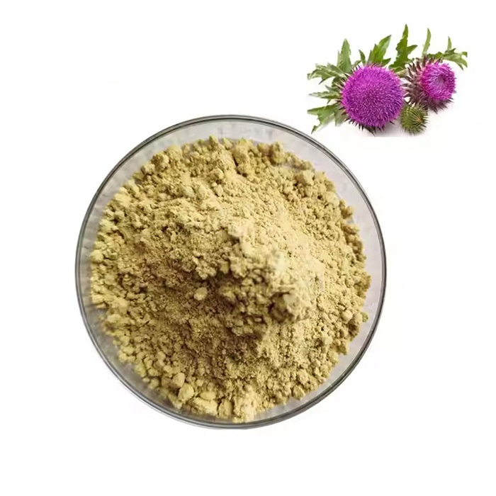 Milk Thistle Extract (Silymarin)