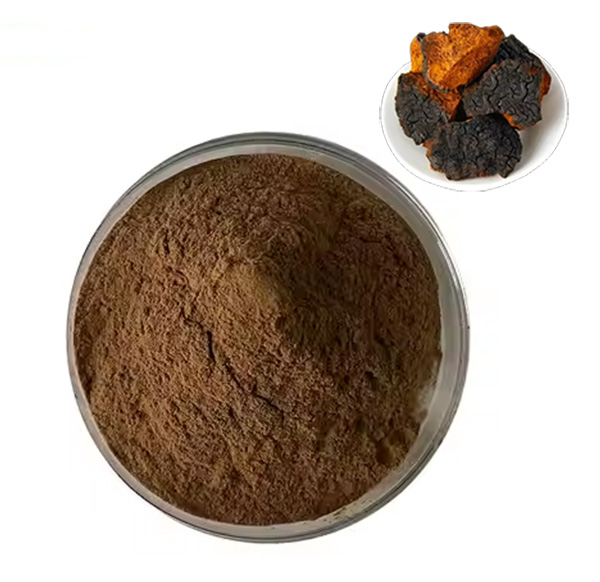 Chaga Extract