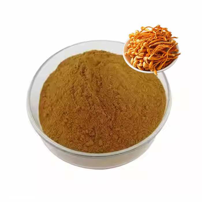 Cordyceps Militaris Extract