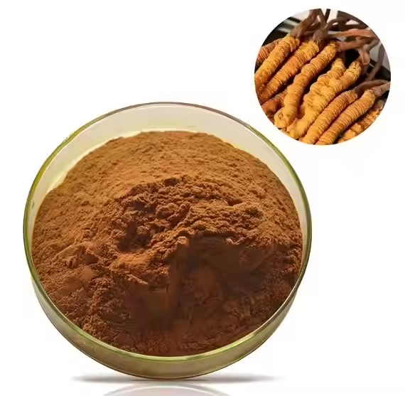  Cordyceps Sinensis Extract