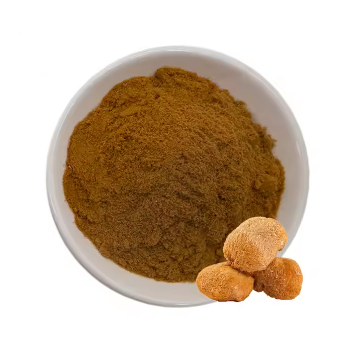 Lion's Mane Mushroom Extract