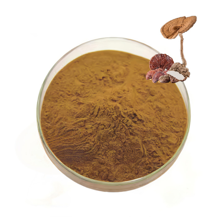 Tiger Milk Mushroom Extract