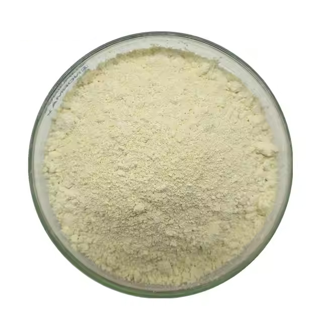 Akkermansia muciniphila AKK PROBIO